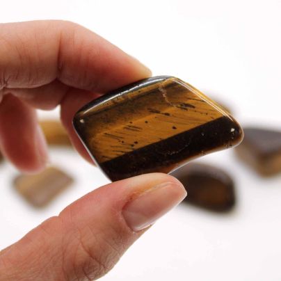 L Tumble Stones - Tiger's Eye - Gold