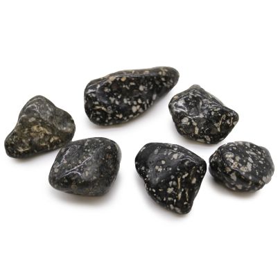 Large Tumble Stones - Guinea Fowl Large