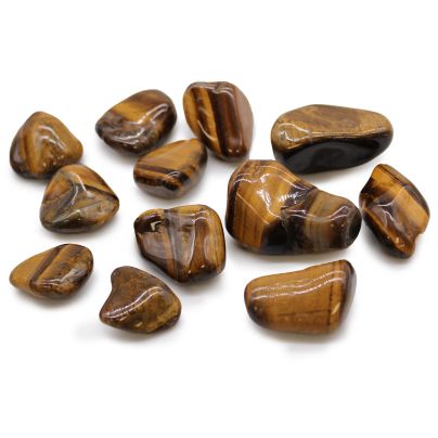 Medium Tumble Stones - Tiger's Eye - Golden