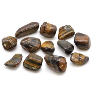 Medium Tumble Stones - Tiger's Eye - Varigated